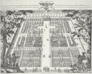 Progetto di giardino da 